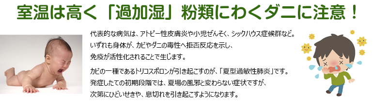 室温は高く「過加湿」粉類にわくダニに注意！アトピー性皮膚炎や小児ぜんそく、シックハウス症候群など。いずれも身体が、カビやダニの毒性へ拒否反応を示し、免疫が活性化されることで生じます。