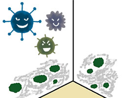 カビ取りリフォーム